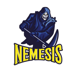 Nemesis Ball Hockey Club